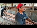 The monster mahogany log sawmill terrible & most expensive