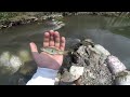 Sambaran Bertubi-tubi genk‼️Ikan Sungai Code Yogyakarta Sangat Ganas🔥 Casting Hampala