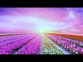 Deep Relaxing Music - Soothing Music to Regulate The Autonomic Nervous System