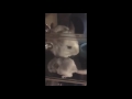 Chinchilla funny and cute videos. Baby chinchilla playing. Cute baby chinchilla.