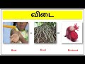 Guess These 10 Vegetables Names : Puzzle புதிர்