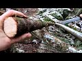 Early Winter Bushcraft Build Natural Primitive Bark Roof Lean To Shelter Campfire Cooking on Stone