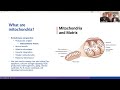 2024 methods for improving mitochondria | Scientifically validated