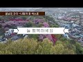 봄날은 간다/백설희/색소폰 연주 나팔과 꽃/