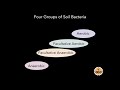 How to Release Manganese and Other Metals from Soil Reserves