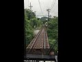 叡山電車緑のトンネル2