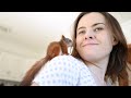 Baby Squirrel Becomes Cute, Chaotic Teenager (Episode 3)