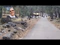 Yosemite National Park ~ Bridalveil Falls Loop Path