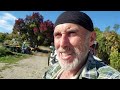 Rural Life In Tasman-South Island-NZ