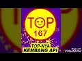 Kembang Api HAPPY TIME 100s  0,8