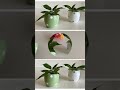 Mini planter diy with cement and plastic bottle … #shorts #ytshorts #diy #homedecor #pritisharma