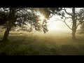 Relax, Focus & Concentration Music | Ambient Calming Meditation | Deep Sleep Soft Music | Playlist