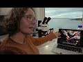 Invasive Royal Crab: How This Species is Taking Over Northern Seas | SLICE EARTH | FULL DOCUMENTARY