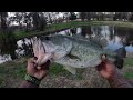 Fishing for MONSTER Bass in HIDDEN Golf Course Pond⛳️