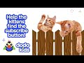 Watch This Baby Tiger Go From Cranky And Tiny To Brave And Big | Baby 2 Big | Dodo Kids