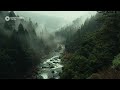 Peaceful Forest River Flowing Sound to Fall Asleep Instantly [1hr ASMR]