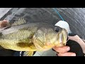 Fall Crankbaits/Bladebaits/Swimbaits:  Parvin Lake 2022