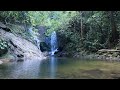 Tropical Soothing Waterfall in Serene Jungle Oasis 🌿🐦 Relaxing Nature Sounds for Sleep [4K]