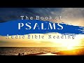 The Book of Psalms KJV | Audio Bible (FULL) by Max #McLean #KJV #audiobible #psalms #book #audiobook