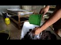 Terlengkap Cara Budidaya Cacing Higienis Pake Ampas Sagu & Pakan Pur Ayam