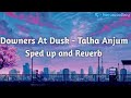 Talha Anjum - Downers At Dusk [Sped up and Reverb]