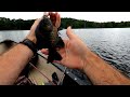 Fly Fishing BIG Bluegill with POPPERS! HUGE Panfish!