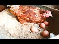 Full Video : Harvesting eggs of Chicken Farms - Harvest Diary