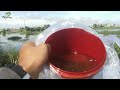 SPOT POTENSIAL‼️TEMPAT KERAJAAN IKAN BETOK BABON | Solo Fishing