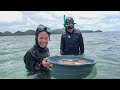 Catching Giant Sea Cucumber|Ito Na Ata Pinakamalaking Sea Cucumber Na Makikita Niyo😧