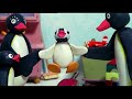 Ping Has a Pet Crab! 🐧 | Pingu - Official Channel | Cartoons For Kids