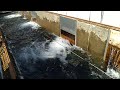 Salmon Jumping at Bonneville Fish Hatchery, August, 2021