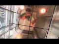 AWESOME Scenic Schindler Traction Elevators @ Hyatt Regency, Dallas TX