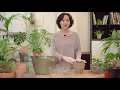 Repotting Class-How to Repotting for beginners, All know-hows are disclosed