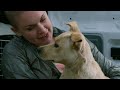 Crew Member Falls In Love With Abandoned Mother Dog! | Amanda To The Rescue