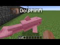 Minecraft All Death Messages! [1.17]