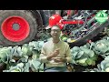 The Most Modern Agriculture Machines That Are At Another Level , How To Harvest Cabbage In Farm ▶1
