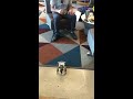 ENGR 1201- Team of Christos, Eric, Alexis, and Parker’s Arduino Uno Robot Motion