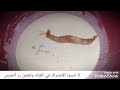 طريقه عمل الاستربس بطريقه خيال 🤤👌