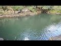 Gardners Falls, Maleny, Queensland, Australia