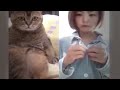 😸 Epic Cat Antics That Will Brighten Your Day 🤣 Funniest Animals 2024 😍