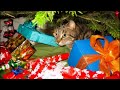 CHRISTMAS SLIDESHOW PART 1 HD with Music   Please Click Subscribe Botton.