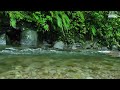 4K CALMING RIVER SOUNDS | RELAXING NATURE SOUNDS, NIGHTINGALE SINGING, AMBIENT RIVER SOUNDS NO BIRDS