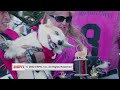 Wrong Way Loki wins by a whisker in the 2022 Corgi Races at Emerald Downs | ESPN8: The Ocho