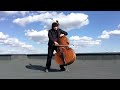 YOU RAISE ME UP - Aynur Zayni (double bass)