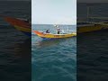 perahu PalwaGuna hari ini,rejeki ikan cakalan,nelayan pantaibaru