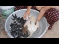 Village Food Factory | Traditional Food Cooking Style