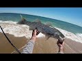 Live-Lining Mackerel off the Beach!!