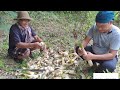 Harvest bamboo shoots for food #harvesting#bamboo @yangtsa9270