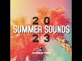 Mix Summer Sounds 2023 (Remix)