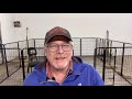 How To Buy A Dog For Breeding! 5 Tips For Beginners! Before You Buy, Watch This!